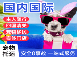 揭阳潮汕机场托运国际宠物托运 【国